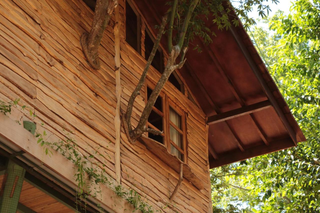 Villa Roots Tree House à Uluwatu Extérieur photo